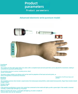 Усовершенствованная электронная модель пункции запястья из ПВХ, травма мягких тканей и совместная инъекция, тренажер, манекен - Product Image 3