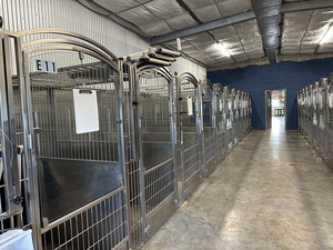 Caseta de perro resistente anticolisión/antiimpacto personalizable de varios materiales de fibra de vidrio/PVC/HDPE - Product Image 6