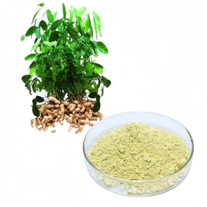 Factory Supply Peanut Shell Extract <strong>Luteolin</strong> 98% - Product Image 1