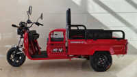 Tricycle utilitaire électrique Chongqing Cheetah Power ATV - 2026, 1000W, 3 roues