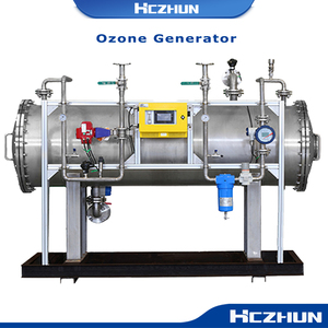 Générateur d'ozone haute performance personnalisé pour la désinfection de l'eau, purificateur pour le traitement des puits, avec pompe et moteur intégrés, modèle HMS-100 - Product Image 5