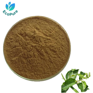 Экстракт Tripterygium Wilfordii в порошке 10:1, экстракт лозы Бога Грома - Product Image 1