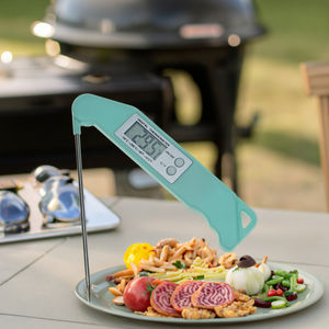 Usine directe ABS thermomètre électronique pliable pour barbecue sonde de cuisine pliante légère pour la cuisson de la viande OEM personnalisé pris en charge - Product Image 4
