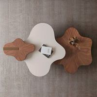 Ensemble de tables basses rétro Clover, forme améba, placage noyer, plateau en pierre frittée, structure en cuivre et acier inoxydable, pour maison et hôtel