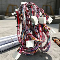Kabel Harness Konektor Molex Multi-Pin Kustom Berkualitas Tinggi dengan Spiral Wrap, untuk Peralatan Industri & Peralatan Rumah Tangga