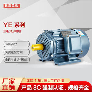 Motor Asíncrono Trifásico de Cobre YE3, Vertical y Horizontal, a Prueba de Explosiones, para Ventiladores y Bombas de Agua, Motor de CA - Product Image 2