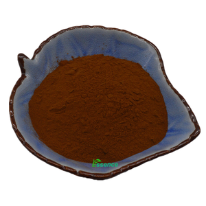 Hochwertiges Yerba Mate Instant Tee pulver für Mate Tea Plant Extract Produkt - Product Image 2