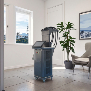 1060nm 다이오드 레이저 바디 슬리밍 기계 냉각 미백 피부 치료 체중 감량 지방 제거 복구 미용 장비 - Product Image 1