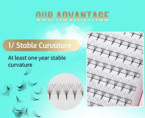 ความโหดร้ายฟรี<span class=keywords><strong>16</strong></span>แถวสำหรับต่อขนตา,แบบ3d 5d 7d ความยาวผสม Faux Mink C Cc D Curl - Product Image 6