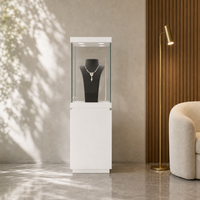 Vitrine de présentation pour bijouterie, cadre métallique sur mesure, base en bois, verre trempé, vitrine LED, équipement de vente en gros