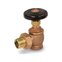 Válvula de Radiador de Vapor de Latón - 1/2 pulg. FIP X Unión Macho, Ventilación y Control Preciso de Temperatura para Sistemas de Calefacción