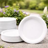 Assiettes jetables robustes en bagasse de canne à sucre, ensembles de vaisselle pour services de repas en avion, traiteur, fournisseur en gros