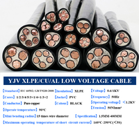 N2XY YJV 3-adriges, 4-adriges, 5-adriges 16mm 25mm 35mm 95mm 70 mm² Kupfer CU/PVC/XLPE YJV22 Stahlband-armiertes Erdkabel