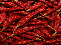 Piment rouge Teja de qualité supérieure, entier, séché, épice indienne, au goût fortement piquant, couleur rouge vif naturelle et arôme riche