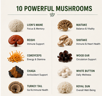 Gummies Complexe de Champignons 10-en-1 Marque Blanche, Supplément Végétalien OEM à Base de Mélange de Champignons pour le Bien-être Immunitaire et la Résilience Systémique