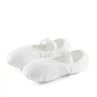 Chaussons de ballet en toile rose clair BW50 pour filles, semelle souple fendue, motif patte de chat, pour entraînement et examen, danse classique chinoise, vente en gros
