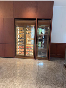 Vinoteca Doméstica Pequeña de Metal con Doble <span class=keywords><strong>Zona</strong></span>, Iluminación LED y Puerta de Vidrio para <span class=keywords><strong>Club</strong></span>, Bar y Hotel - Product Image 1