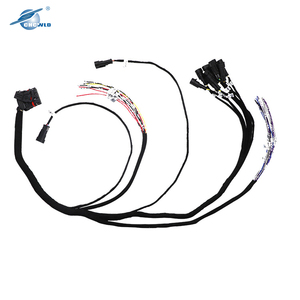 カスタマイズされたVortecシステムワイヤーハーネスの2019 OEMメーカー - Product Image 3