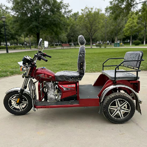 New Powered Right Three-Wheeled Motorcycle Sidecar Automatic Clutch Leisure Gasoline 2 Passengers - Product Image 4