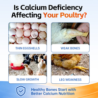 Additif alimentaire minéral pour animaux avec lactate de calcium organique pour la nutrition de la volaille et du bétail