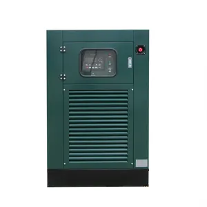 10kw 20kw 50kw 100kw 120kw 150kw 200kw 250kw Industriële Elektrische Stille Aardgas Biogas Plant Generator Prijs Met Chp