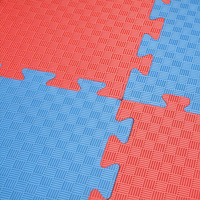 Tapete de Espuma EVA de Cinco Líneas, 100x100cm, 2cm de Grosor, Antideslizante, Absorbente de Impactos, para Taekwondo y Karate, Venta Directa de Fábrica