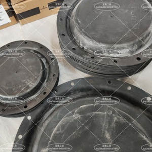 วาล์วสปริงและไดอะแฟรมแบบหมุน รุ่น Fisher 2052 ของแท้ GE34829X012 OEM SG ของแท้ ขนาด 3 - Product Image 5
