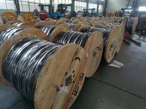 0,6/1kV ABC Cable Triplex <span class=keywords><strong>Hippa</strong></span> 6AWG Alambre de aluminio Cable aéreo incluido Cable de alimentación AAC Conductor AAC XLPE CABLE - Product Image 4