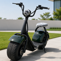 Scooter électrique vintage tout-terrain monoplace, batterie lithium 60V 20Ah, pneu large 8 pouces 285-55-8