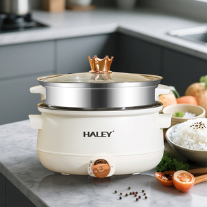 HALEY Compra al por mayor OEM/ODM Olla eléctrica multifuncional de 5L con revestimiento antiadherente y <span class=keywords><strong>vaporera</strong></span> para importadores de electrodomésticos - Product Image 3