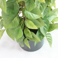 Nouvelle Arrivée : Plante Artificielle en Pot avec Feuillage Vert, Faux Houx Anglais et Arbre de Syngonium avec Lianes Tombantes pour Décoration Intérieure de Magasin