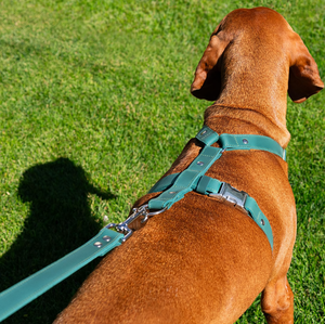 Correa de Cuero Personalizada Multiusos para Perro, Arnés con Hebilla de Metal, Diseño Táctico con Asa, Arnés Ajustable para Mascotas para Interiores y Exteriores - Product Image 1