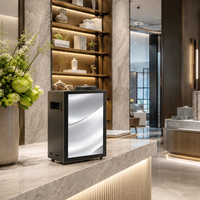 Solución de Marca: Sistema Difusor de Aroma Publicitario con Bluetooth de 3000m³ para Entradas de Hoteles C