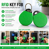 Llavero RFID Personalizado TK/EM 4100 125KHz, Anillo Inteligente para Control de Acceso, Etiqueta Inteligente