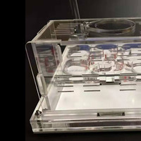 Kit de fourmilière en acrylique avec 4 interrupteurs