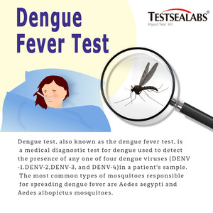 Testsealabs Infectious OEM <span class=keywords><strong>Malaria</strong></span> Ag P.f/pan Test rapide de <span class=keywords><strong>diagnostic</strong></span> sanguin à trois lignes, <span class=keywords><strong>kits</strong></span> de test en cassette - Product Image 5