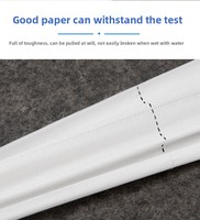 Le fabricant vend du papier toilette doux personnalisé 2 plis, 3 plis, 4 plis, soluble dans l'eau, volume super grand.