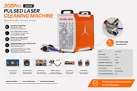 Machine de nettoyage au laser portable TIPTOP haute efficacité 300W pour le bois, la pierre, les graffitis, usage domestique et commercial