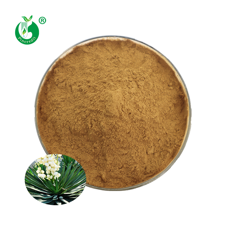 Сыпучая цена, порошковый экстракт Yucca Schidigera 60%