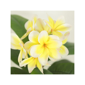 ดอกไม้ประดิษฐ์ดอกลีลาวดีสีสันสดใสต้นไม้ในกระถางสีดำสำหรับตกแต่งบ้าน - Product Image 4