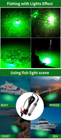 Lampes de pêche LED personnalisées 100W 200W 600W, 12V, sous-marines, pour attirer les calmars et les thons, lampes de pêche en eau profonde pour quais et bateaux