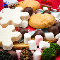 Juego de Regalo Navideño Personalizado a Precio de Fábrica con Surtido de Delicias Festivas: Mezcla de Chocolate Caliente, Galletas, Malvaviscos y Menta