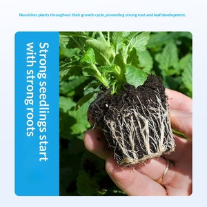 Solución de Enraizamiento Líquida Aishang, Fertilizante Nutritivo Universal <span class=keywords><strong>para</strong></span> Jardinería <span class=keywords><strong>en</strong></span> <span class=keywords><strong>Macetas</strong></span> con Liberación Rápida <span class=keywords><strong>para</strong></span> <span class=keywords><strong>Plantas</strong></span> Verdes y Flores - Product Image 4