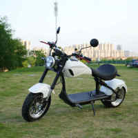 Scooter électrique Citycoco à pneus larges homologué EEC 2000W 60V, moto électrique pour adultes avec batterie amovible