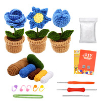 Kit de crochet fait main personnalisé - Série végétale, ornements décoratifs en fibre acrylique d'Anhui