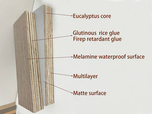 Contreplaqué mélaminé <span class=keywords><strong>de</strong></span> première qualité en eucalyptus, 1220x2440x18mm, anti-termite, écologique E1, pour salon - Product Image 2