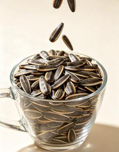 Graines <span class=keywords><strong>de</strong></span> tournesol grillées <span class=keywords><strong>de</strong></span> qualité supérieure |   Vente en gros <span class=keywords><strong>de</strong></span> petits colis - Product Image 6