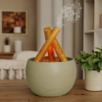2025 Mini USB électrique 100ml diffuseur d'huile essentielle d'aromathérapie humidificateur à brume fraîche avec flamme de feu pour un usage domestique
