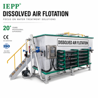 Système de flottation à air dissous (DAF) pour le traitement des eaux usées, équipement de filtration 10000L/heure pour l'industrie de la viande