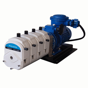 Huiyu High IP55 High Torque Multiple <b>Pump</b> Heads Manually Speed Adjustable Explosion Proof Motor Peristaltic <b>Pump</b> - Product Image 5